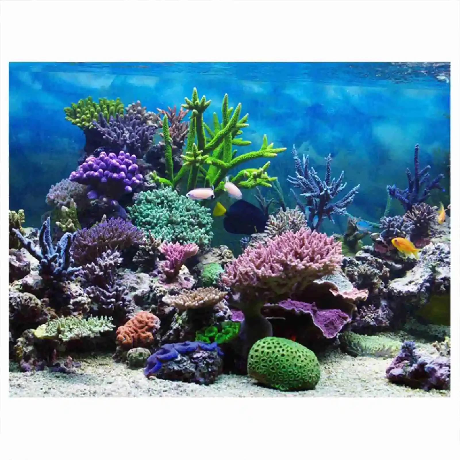 Marine Aquarium Glue - 3D akuarium Poster pemandangan hutan hujan