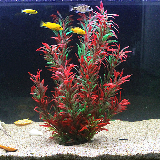 Aquarium Marine Fish - 50CM Kolam Ikan Buatan Tanaman Langka