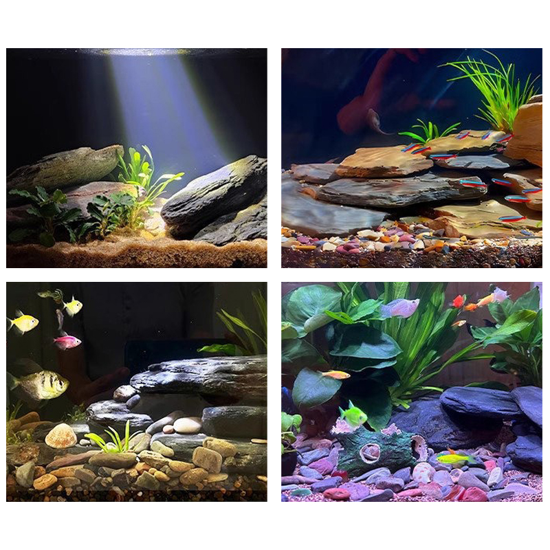 500/1000G Kit Batu Lanskap Tan - Aquarium Marine Fish ulasan dan harga
