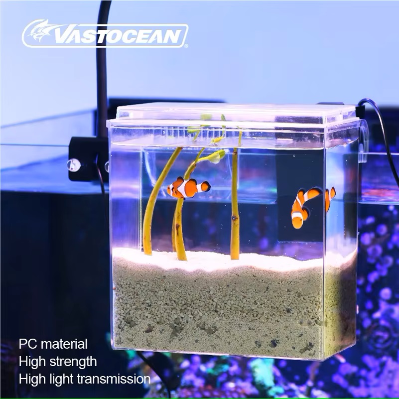 VASTOCEAN Tangki Ikan Kotak Ma - Marine Aquarium Overflow ulasan dan harga
