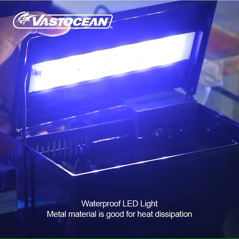 VASTOCEAN Tangki Ikan Kotak Ma - Marine Aquarium Overflow ulasan dan harga