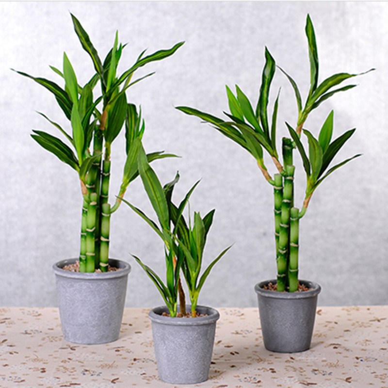 Baru 40Cm RFtificial Bambu Ber - Aquarium Marine Fish ulasan dan harga