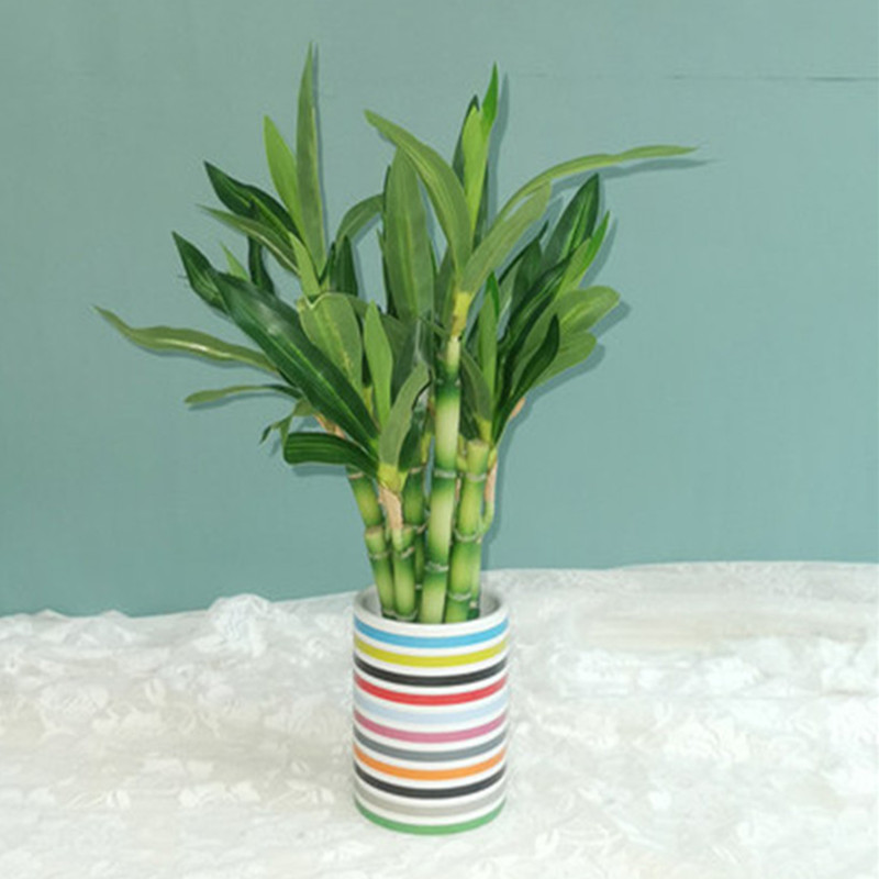 Baru 40Cm RFtificial Bambu Ber - Aquarium Marine Fish ulasan dan harga