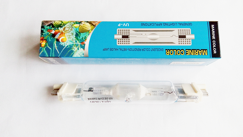 LAUT WARNA 250 w 10 k 14 k 20  - Marine Aquarium Live Sand ulasan dan harga