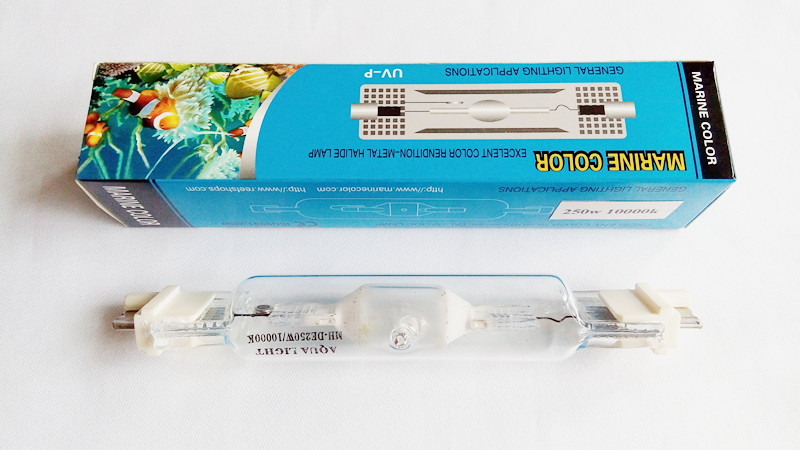 LAUT WARNA 250 w 10 k 14 k 20  - Marine Aquarium Live Sand ulasan dan harga