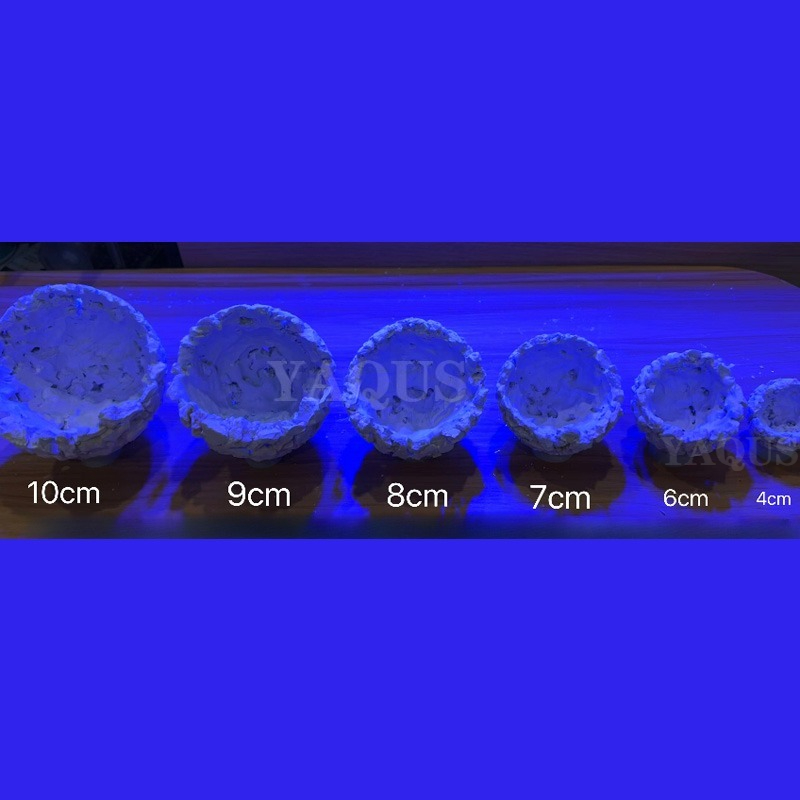 Dekorasi Lanskap Akuarium Buat - Coral Frag Plug ulasan dan harga