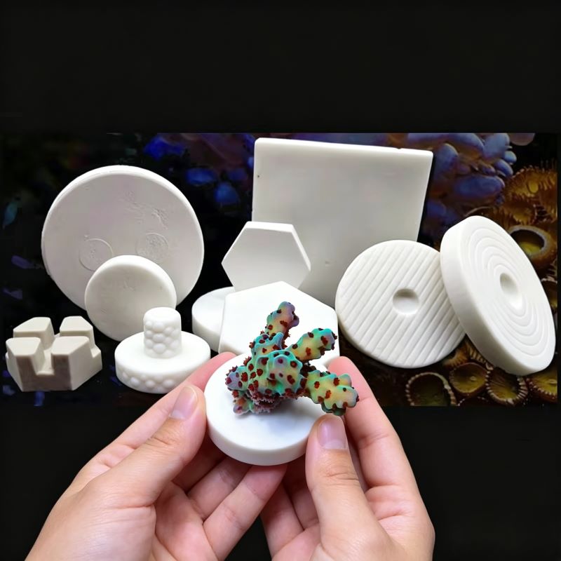 Alas Keramik SPS untuk Coral F - Coral Frag Plug ulasan dan harga