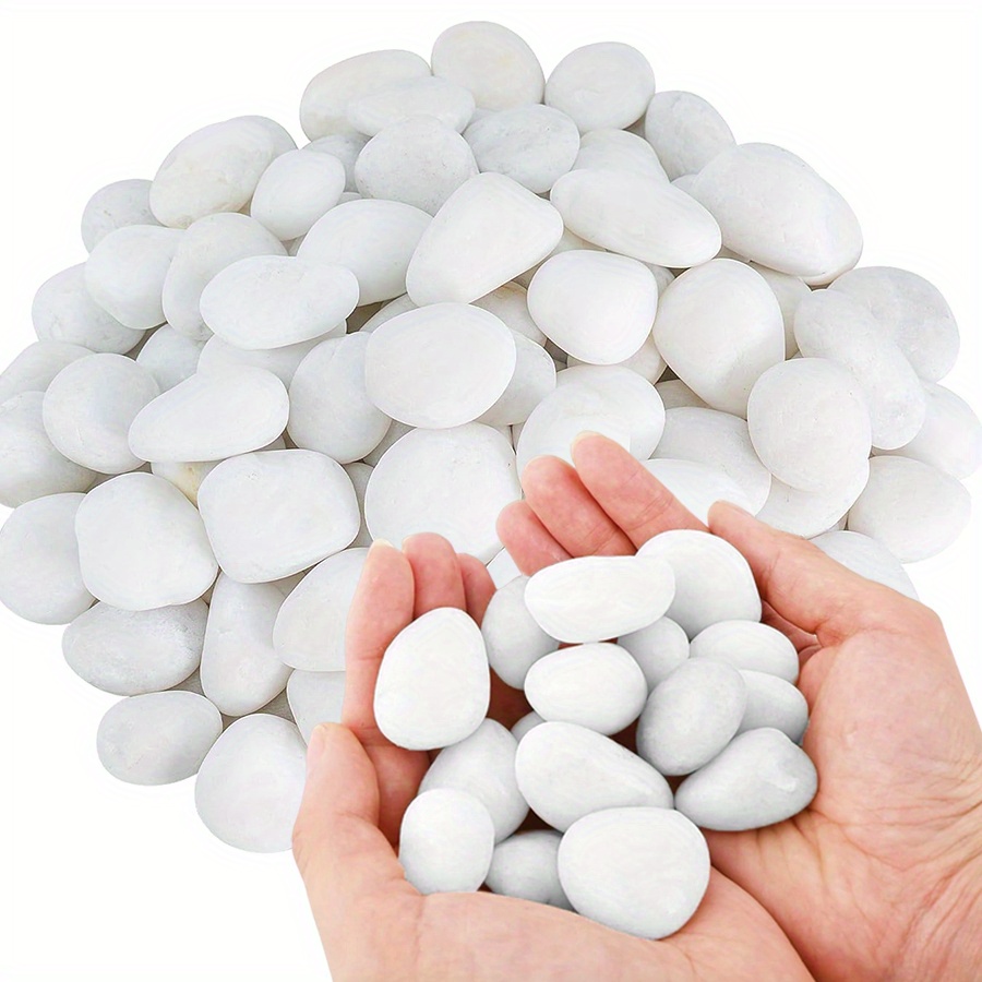 200/400g Batu Kerikil Putih Po - Aquarium Marine Fish ulasan dan harga