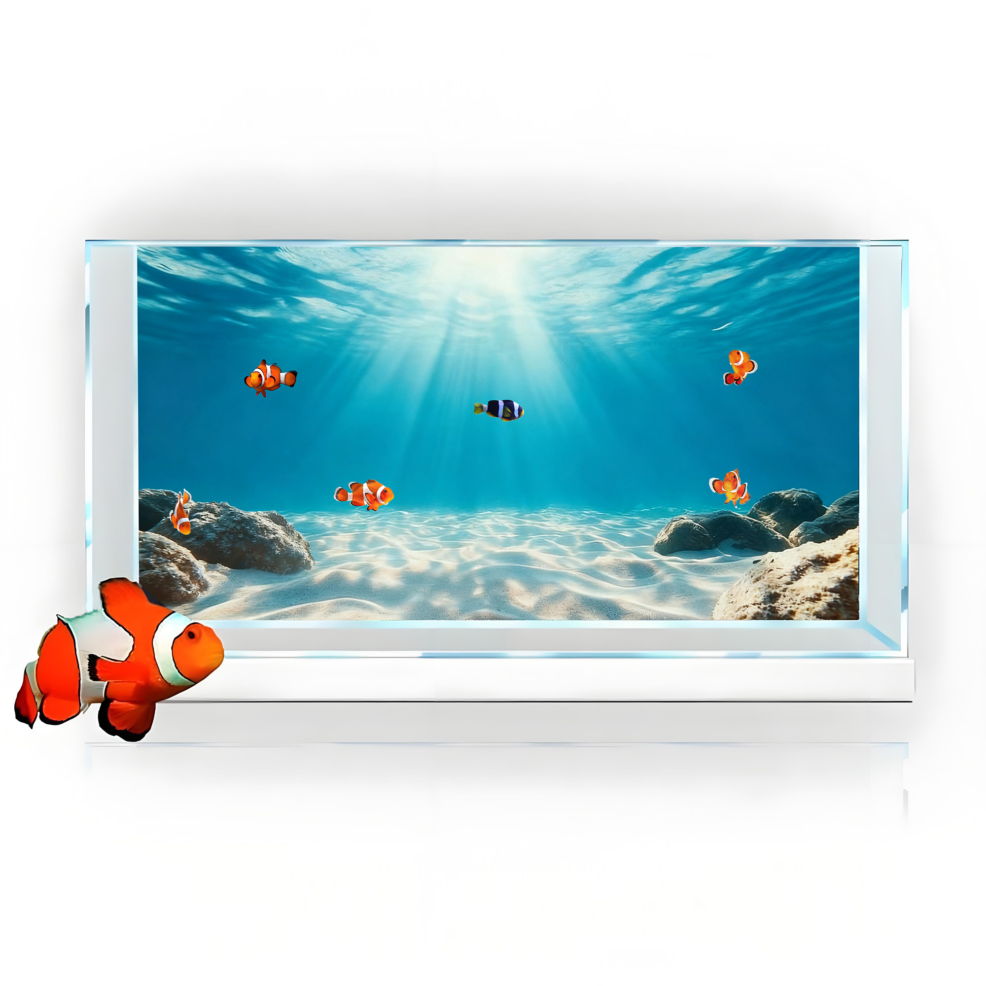 Pasir Biru Laut Jernih, Lukisa - Marine Aquarium Glue ulasan dan harga