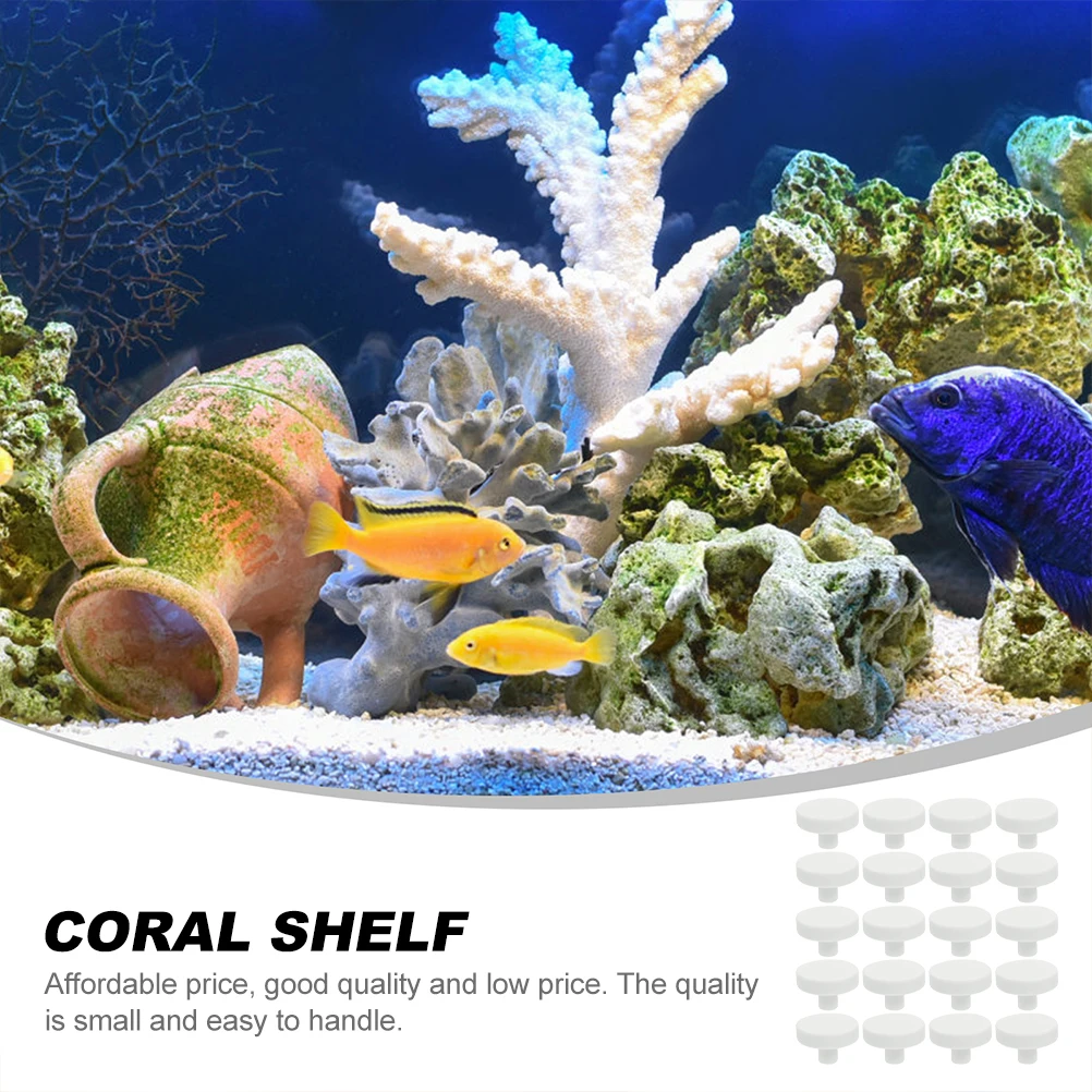 20 Buah Lem Karang Terumbu Ama - Coral Frag Plug ulasan dan harga