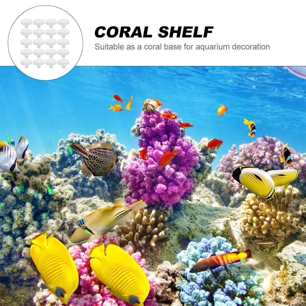 20 Buah Lem Karang Terumbu Ama - Coral Frag Plug ulasan dan harga
