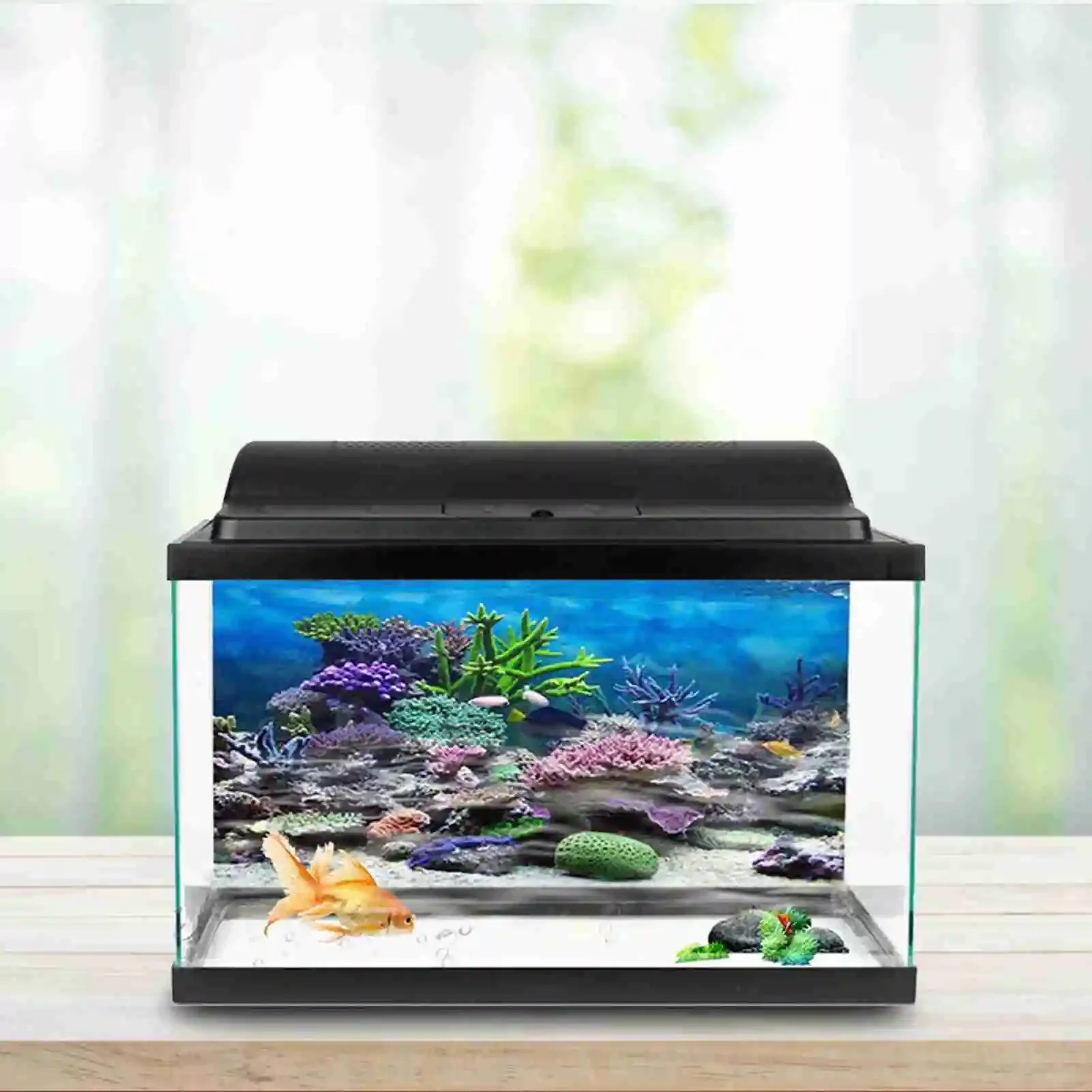 3D akuarium Poster pemandangan - Marine Aquarium Glue ulasan dan harga