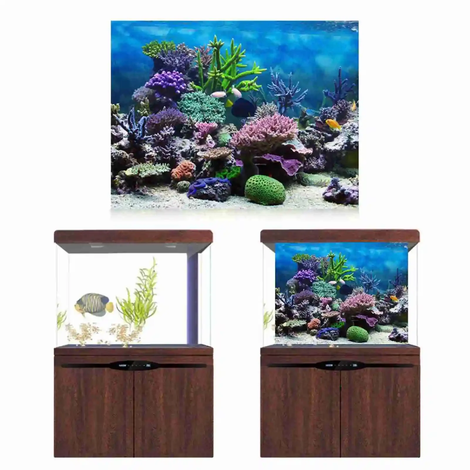 3D akuarium Poster pemandangan - Marine Aquarium Glue ulasan dan harga