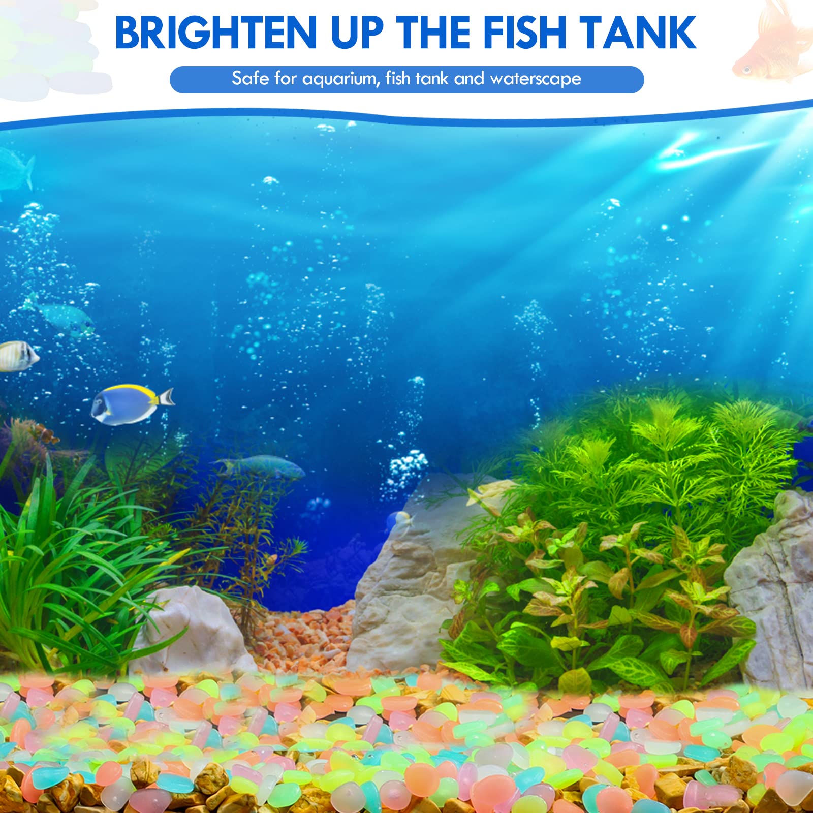 100 buah kerikil taman menyala - Aquarium Marine Fish ulasan dan harga