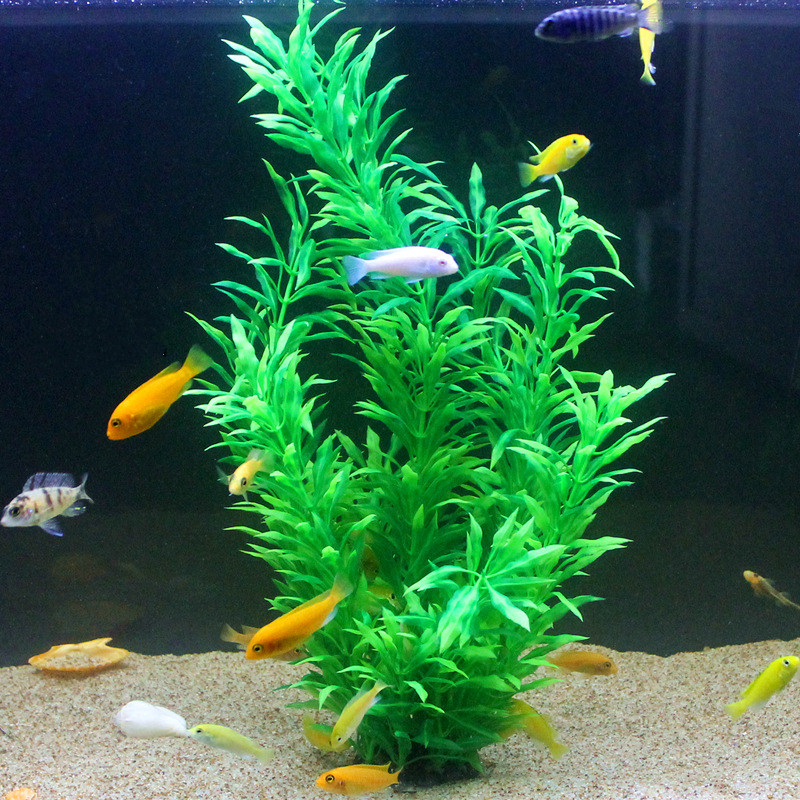 50CM Kolam Ikan Buatan Tanaman - Aquarium Marine Fish ulasan dan harga
