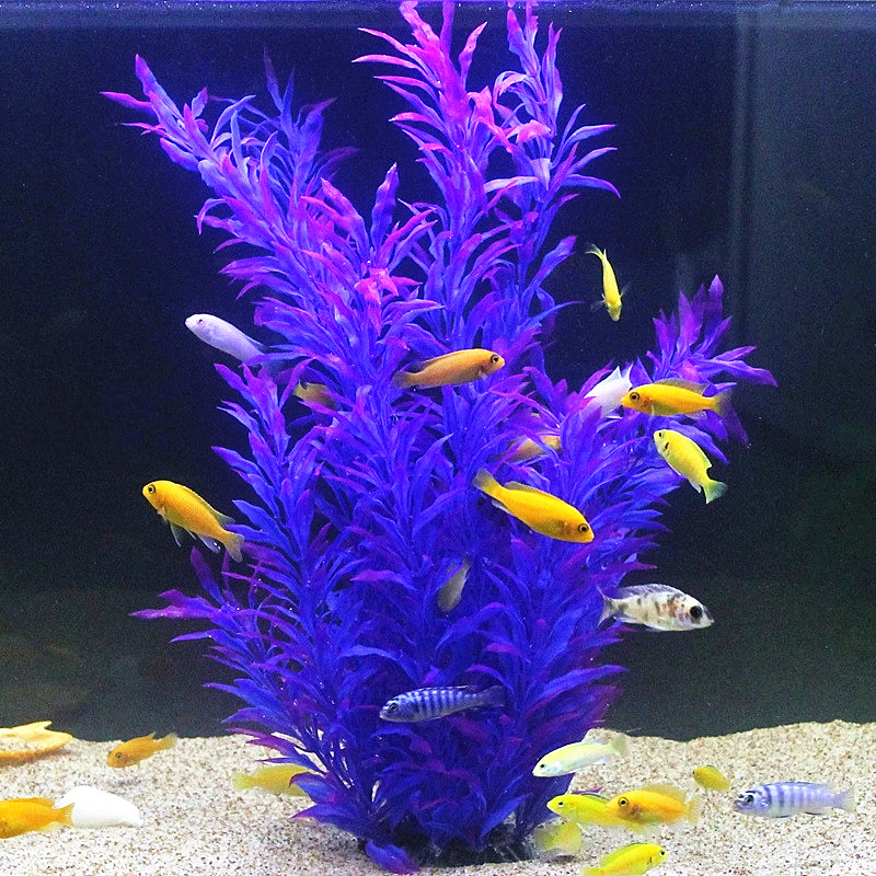 50CM Kolam Ikan Buatan Tanaman - Aquarium Marine Fish ulasan dan harga